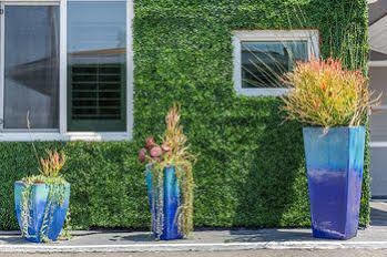 Motel Santa Monica Hotel 3*